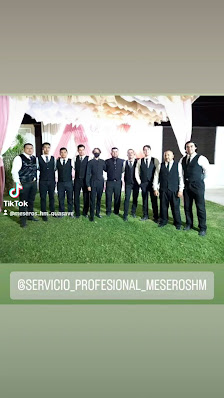 Servicio Profesional De Meseros Hm